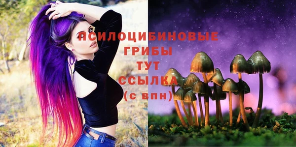 герыч Куйбышев